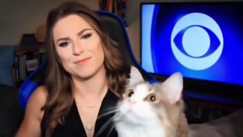 The funny moments when cats accidentally enters the camera