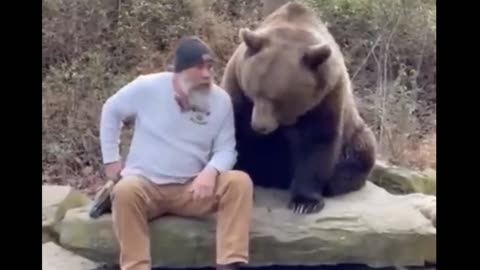 Bear and man casually having a conversation