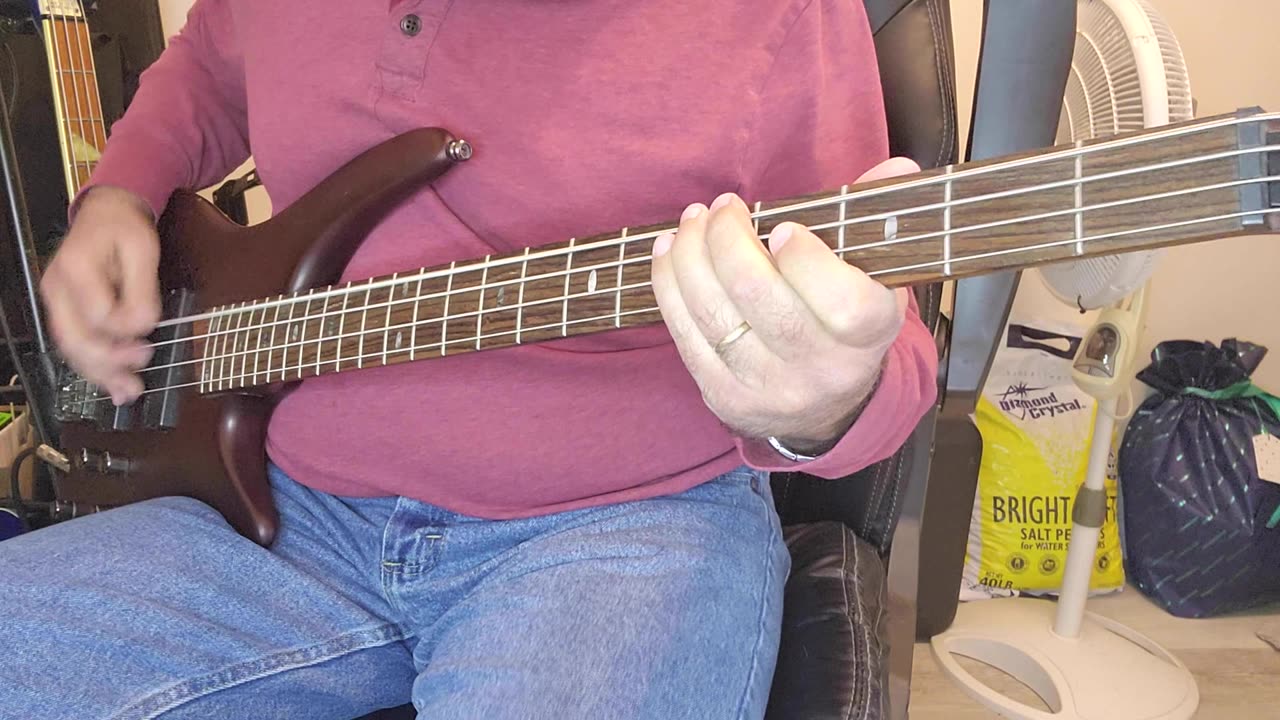 Foo Fighters - Everlong Bass Cover