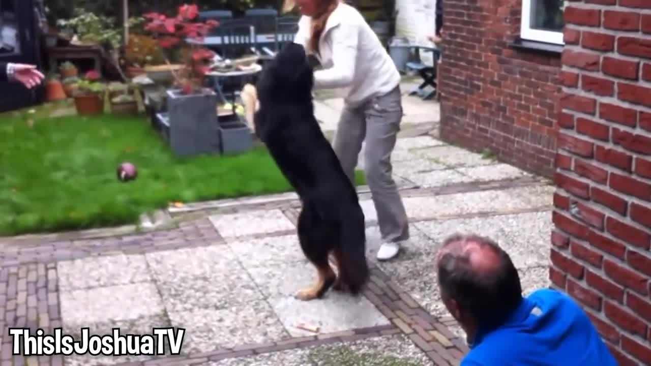 Girl Reunites With Pet Lion After 8 YEARS