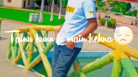 Tu hai Dil vich mera lyrics video