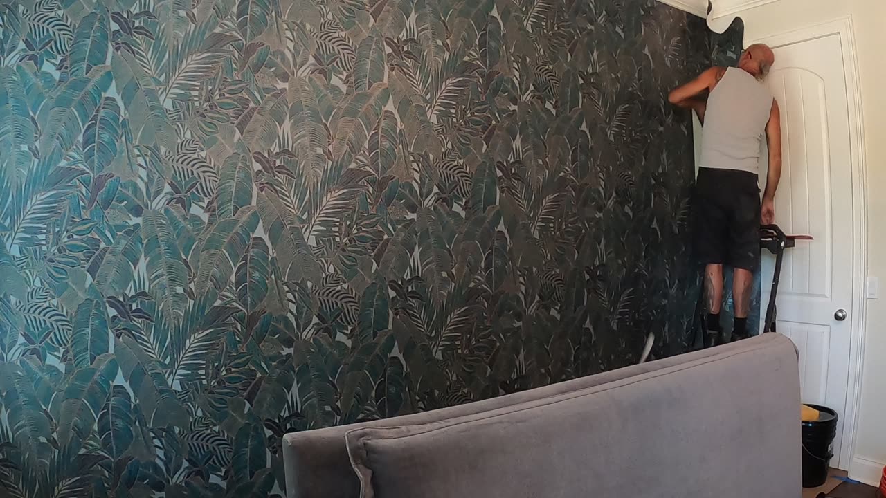 wallpaper