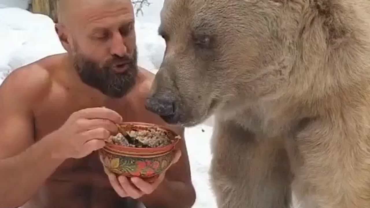 Hungry Bear