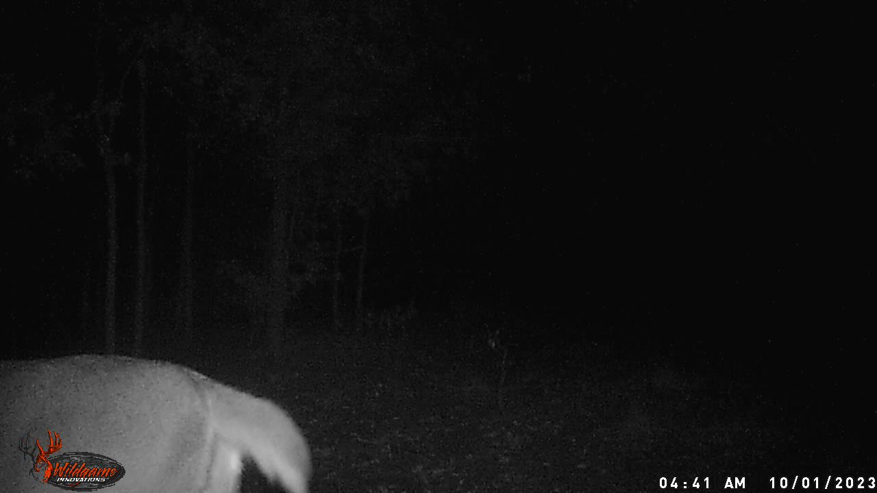 Trail Cam 1