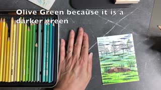 Creating a Nature Scene