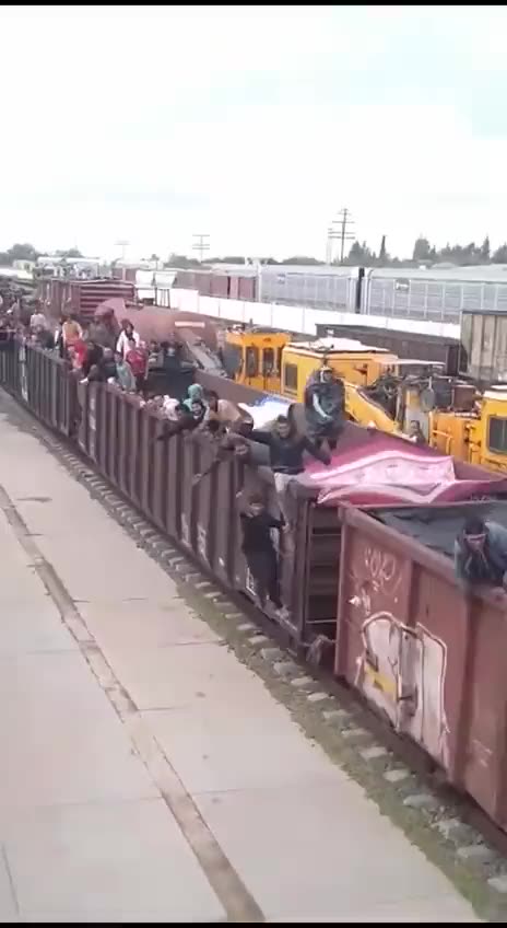 All Aboard The Illegal Express.