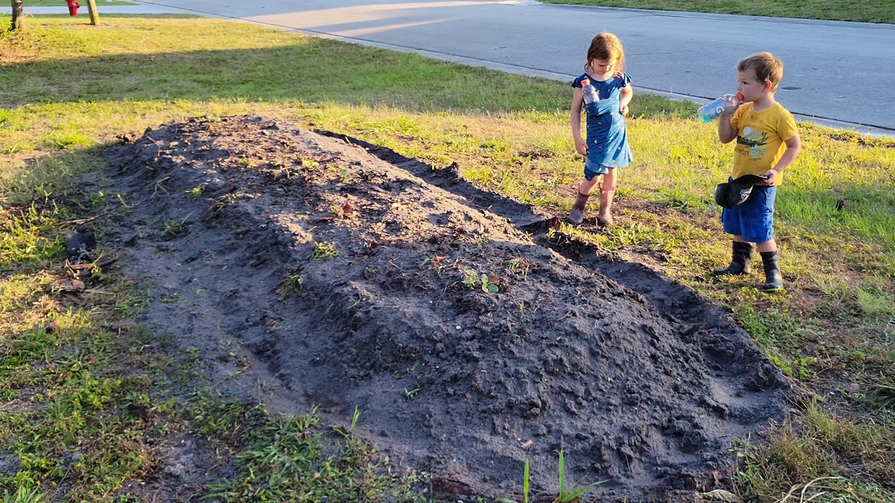 This Garden Bed Had Problems...