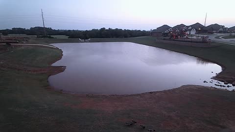 The Pond