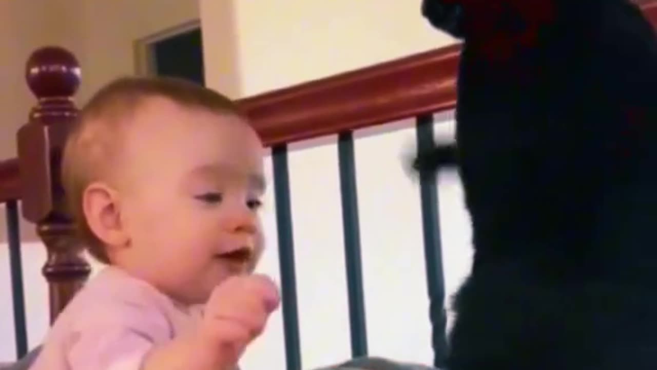 Baby funny videos