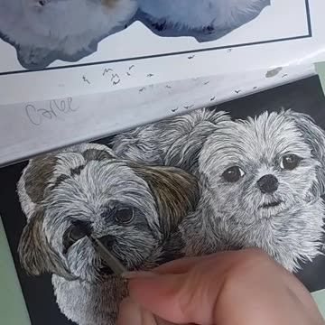 Carlee & Bailee - Dog Portrait WIP, Adding Watercolor