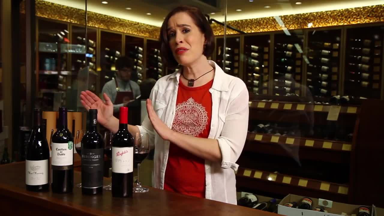 Pinot Noir, Merlot, Cabernet Sauvignon, Shiraz, Syrah - Red Wine Guide