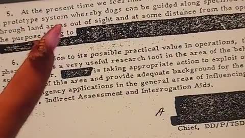 cameras in the birds