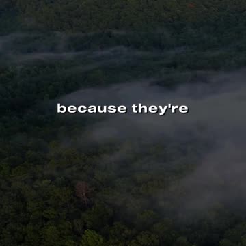 ⚡The Power of Vibration: Beyond Words💬⁣⁣