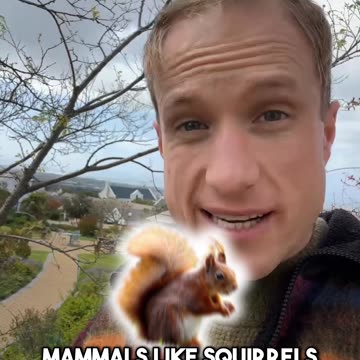 An ingredient that makes you fat!