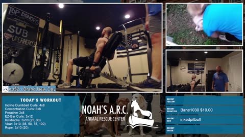 Gym Session w/Hank-a-Tank [Week 23] - Shoulders & Biceps // Animal Rescue Stream :)