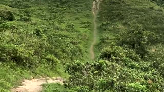 What in the world do you want here