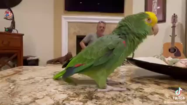 🦜 I could watch this 😍 over and over and over 😂 CLEVER BIRD