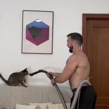 How to keep a house clean with cats