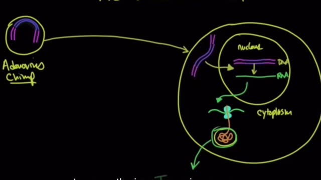 Shocking! This video shows you how AstraZeneca vaccine rewrites DNA