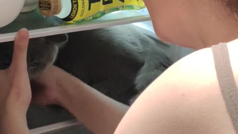 Kitty Cools off in Fridge