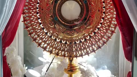 Adoration on Rumble - Tue, Nov. 28th, 2023
