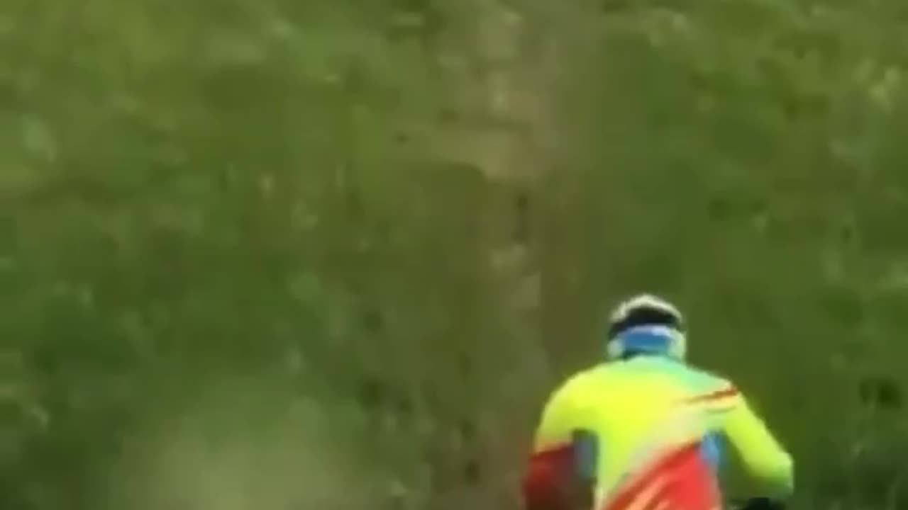 What did they want to do?🤡