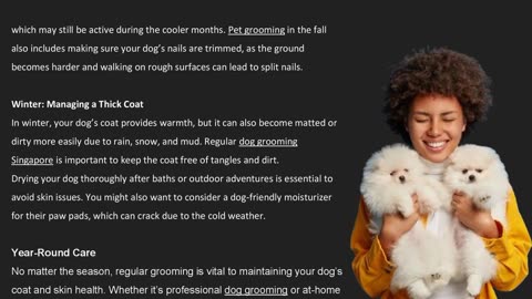 Dog Grooming Throughout the Seasons: Best Practices Explained — The Pets Workshop