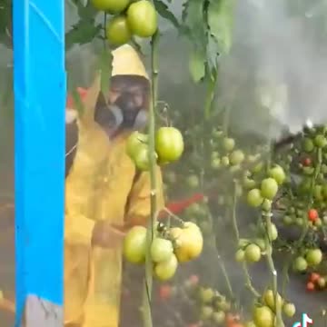 Become a self reliant homestead Selbstversorger