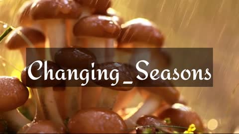 Relaxing Music Changing Seasons