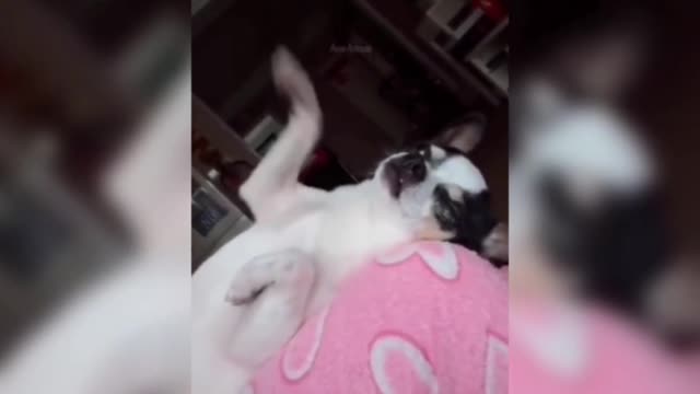 This is a beautiful dance, isn't it? With music