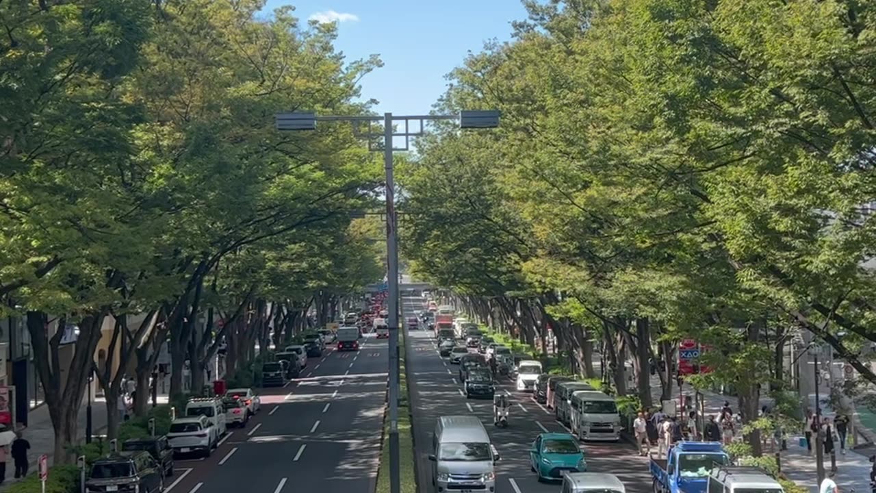 omotesando street view instagramable 2023