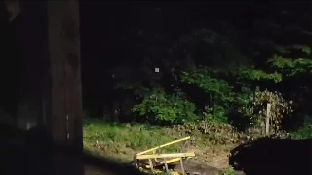 Bigfoot?? or something else??