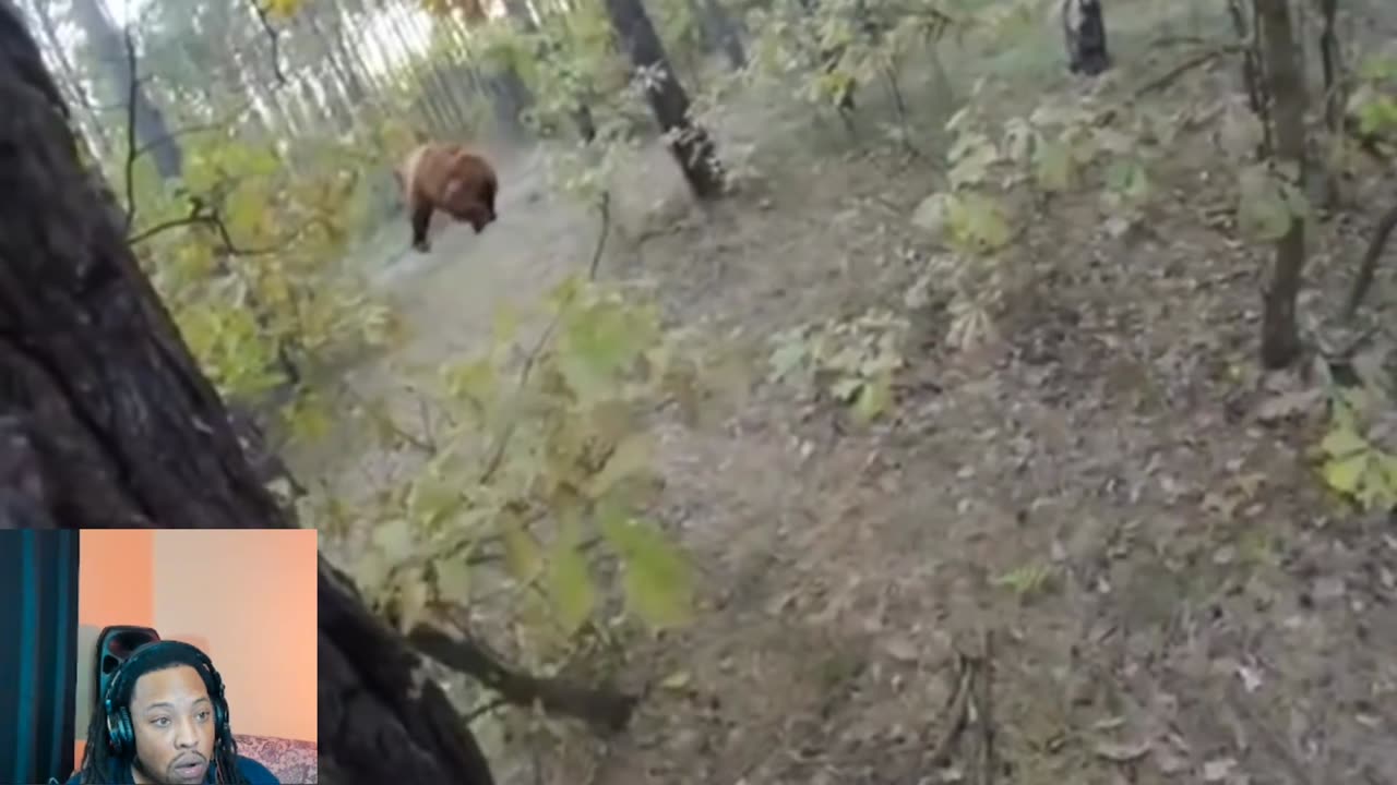 Race for Life: Biker's Heart-Pumping Escape from Grizzly Bear