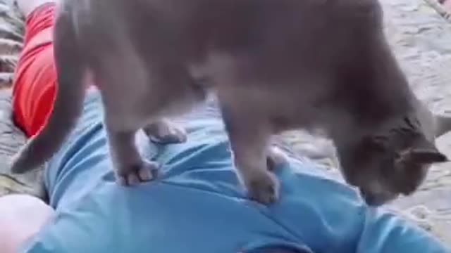 Funny Animals Videos2022 🤣😝