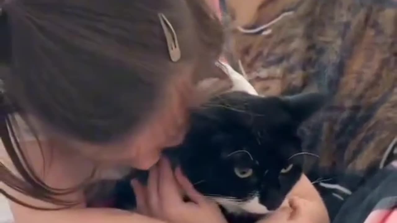 Cat loves kid