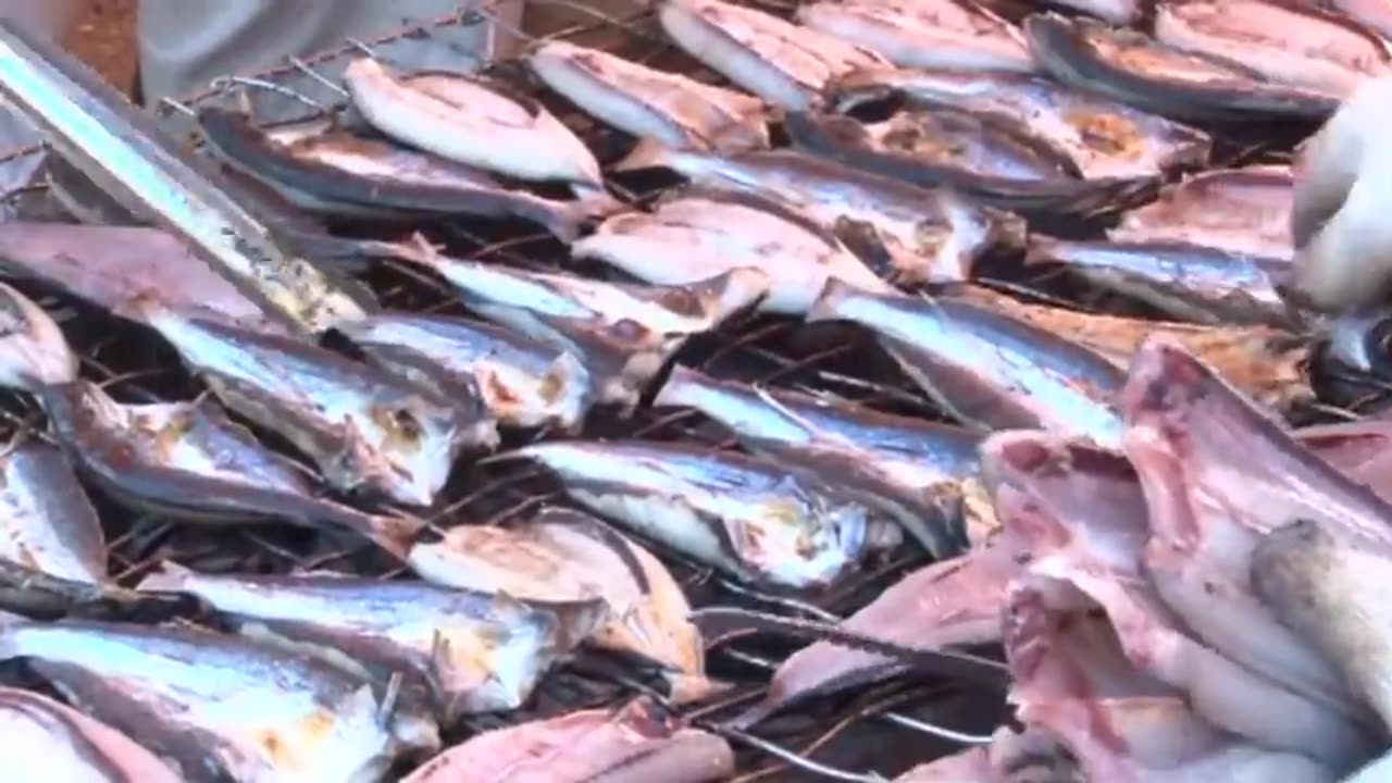 Japanese Flying Fish Catching and Processing - How to fishing Flying Fish - Fish Processing Plant