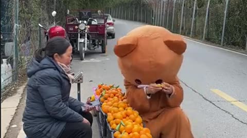 Chinese Funny Pipi Bear Videos 2022 🤣😂EP 09