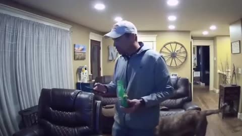 Dogs funny videos 😁🐕#2023