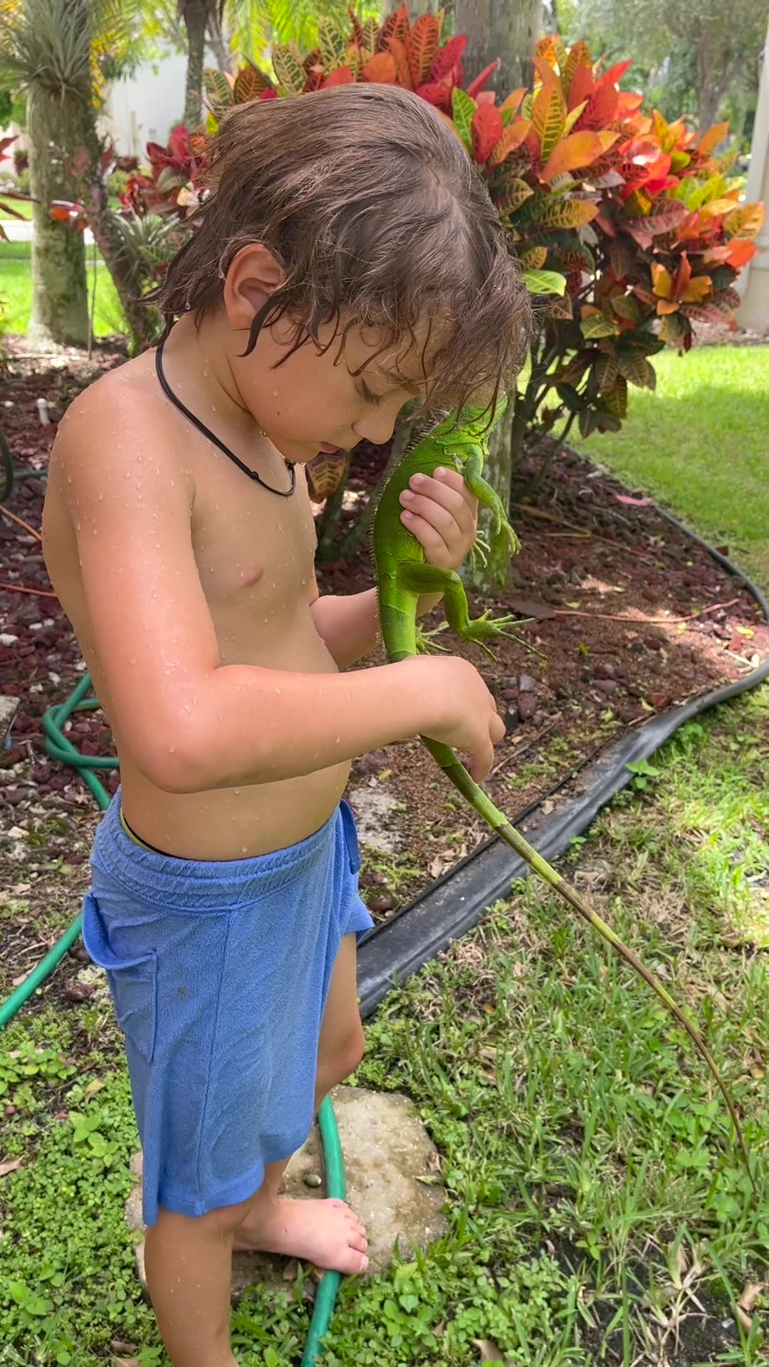 the Joys of Homeschooling: Kid Jumps in Pool to Rescue Iguana!
