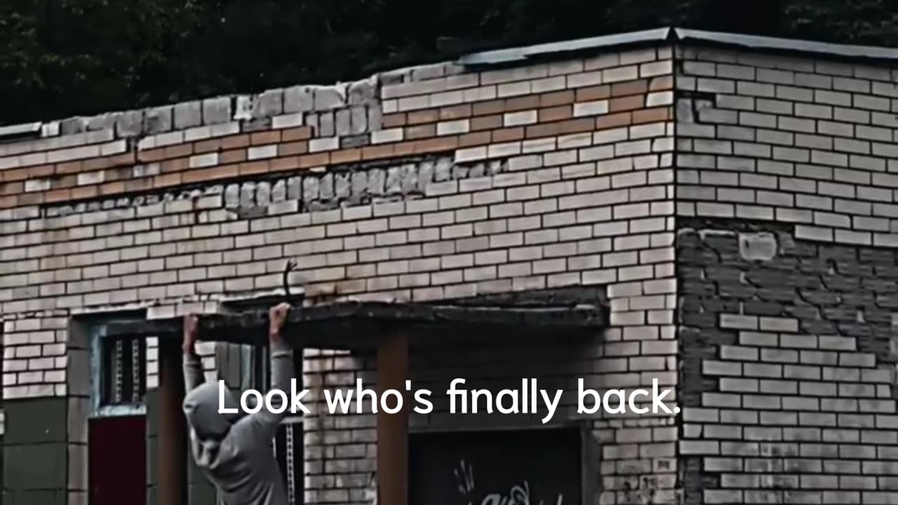 Look whos back.