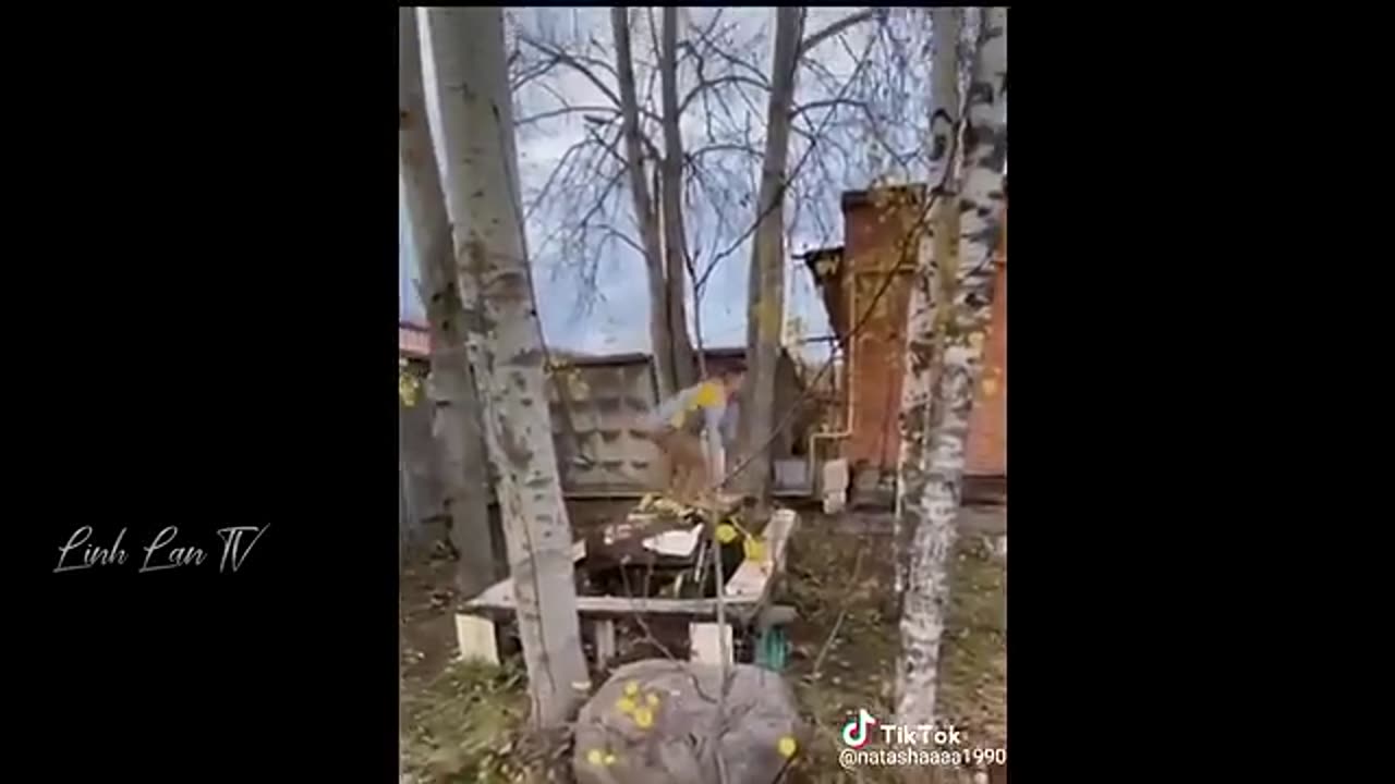 Funny act