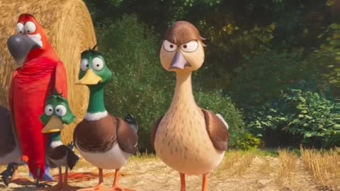 Migration 🦆🦆🦆