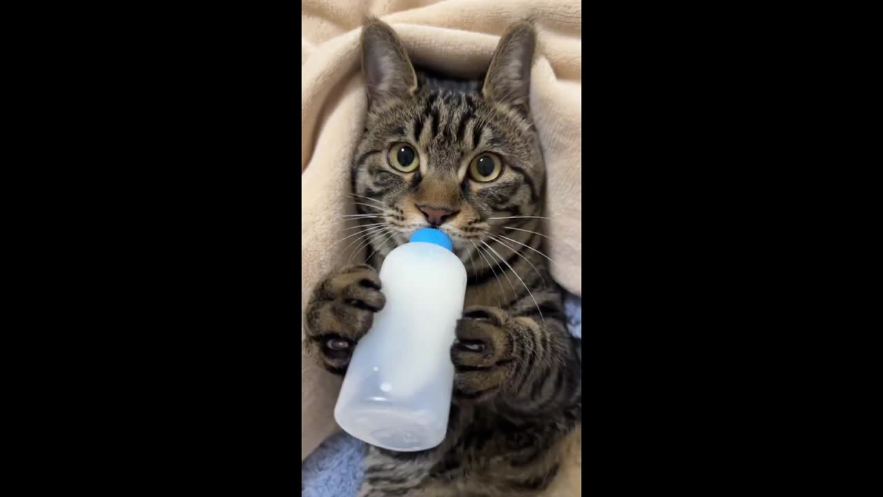 Does it look like a cute baby?
