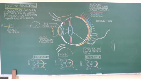 VONEX SEMESTRAL INTENSIVO | INTRODUCTORIO | BIOLOGÍA