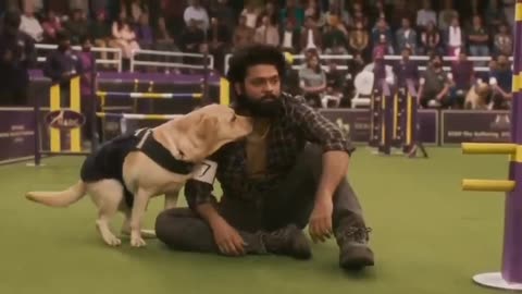 This video is indian.dog is sad moment.