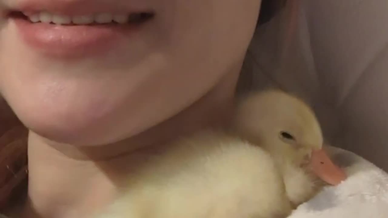 Good Night