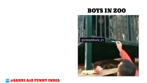 Funny video in the zoo | girls vs boys compilation