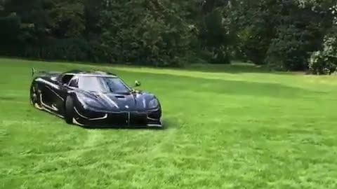 Cool sports car with fast grass control