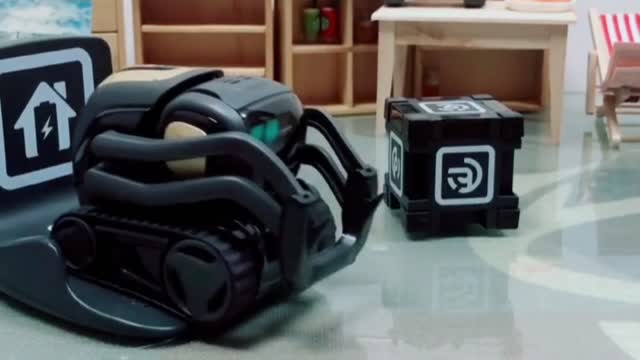 A little robot that recharges itself when it's tired