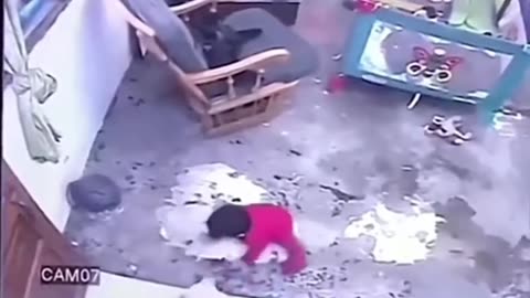 Cat saves baby from falling down stairs